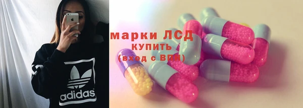 стаф Магадан