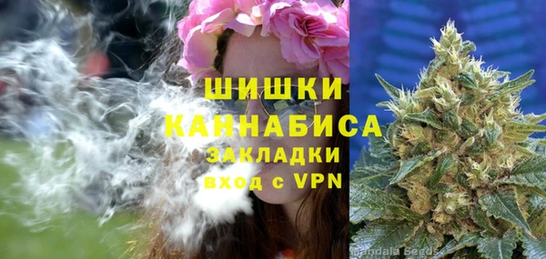 винт Майский