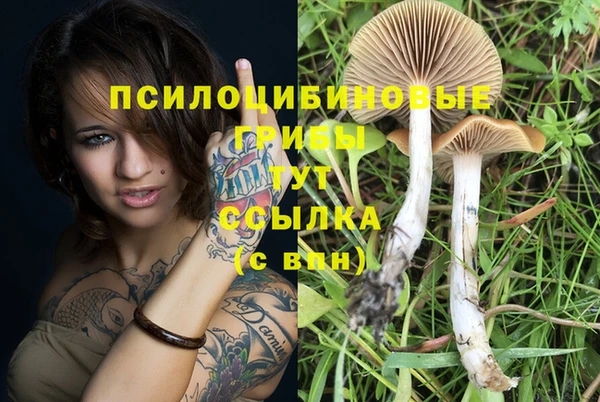 круглые Магас