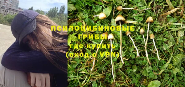 круглые Магас
